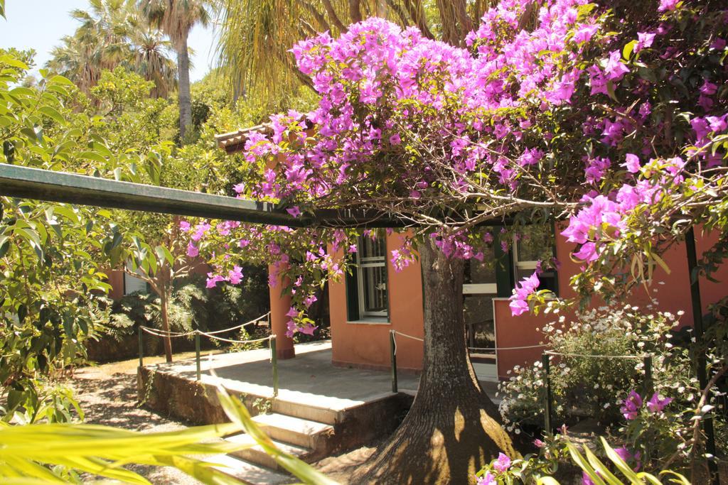 Le Palme Garden Villa San Giorgio  Eksteriør bilde