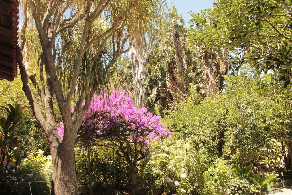 Le Palme Garden Villa San Giorgio  Eksteriør bilde